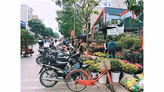Les pots de fleurs pour le Têt devant le marché. Photo : Minh Minh/NDEL. Les pots de fleurs pour le Têt devant le marché. Photo : Minh Minh/NDEL.