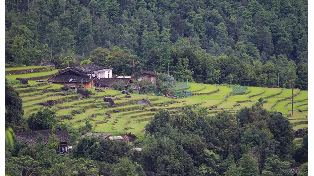 Le village Sông Mooc présente des beautés particulières selon les saisons. Tout le village est comme une image colorée. Les visiteurs ont à découvrir deux villages : Sông Mooc A et Sông Mooc B. Photo: baoquangninh.vn