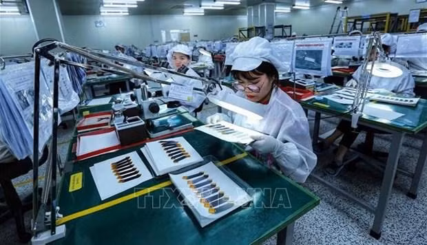 Le commerce bilatéral a atteint 11,5 milliards de dollars en 2021 et plus de 10,5 milliards de dollars au cours des 10 premiers mois de 2022. Photo : VNA.