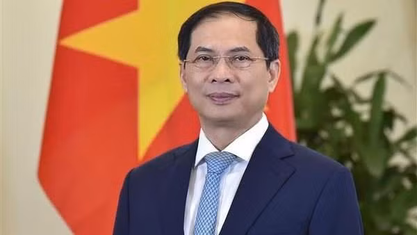 Le ministre des Affaires étrangères Bui Thanh Son. Photo : VNA
