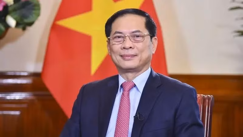 Le vice-Premier ministre et ministre des Affaires étrangères Bui Thanh Son. Photo : VNA.