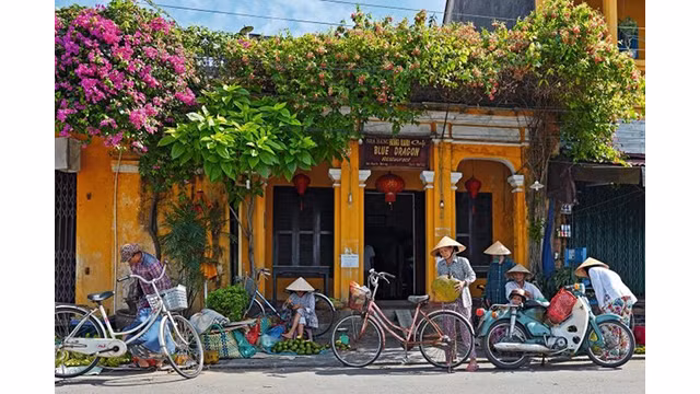 Le célèbre site de voyage britannique, Wanderlust, a classé Quang Nam du Vietnam comme l'une des meilleures destinations de « tourisme vert » en Asie. Photo : thoidai.com.vn