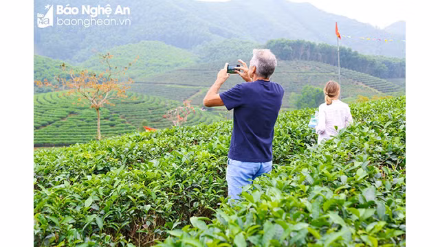 Un touriste profite du paysage naturel des îlots du Thé. Photo : Dinh Tuyên/baonghean.vn Un touriste profite du paysage naturel des îlots du Thé. Photo : Dinh Tuyên/baonghean.vn
