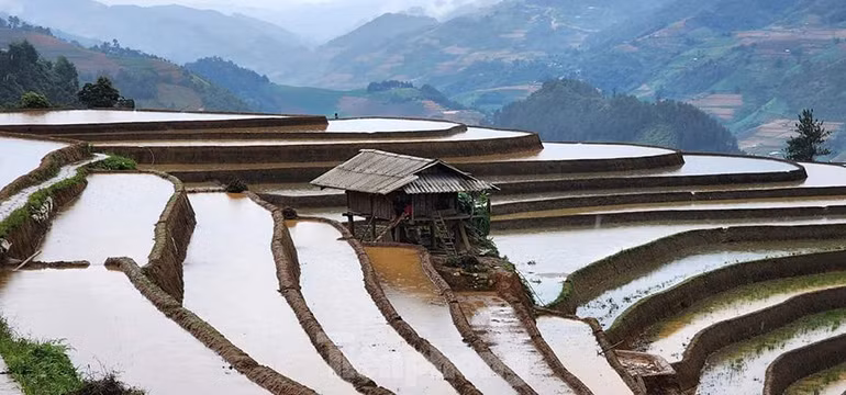 Les rizières en terrasses de Mù Cang Chai, créent un tableau splendide. Photo: tienphong.vn