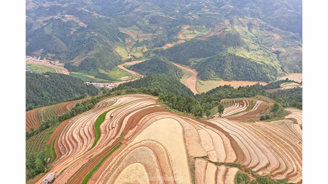 Les rizières en terrasses de Mù Cang Chai, créent un tableau splendide. Photo: tienphong.vn