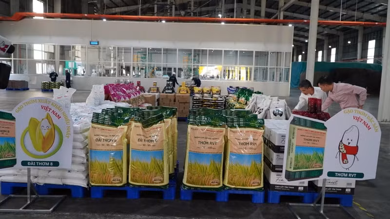 Le Vietnam reste le plus grand partenaire d’exportation de riz des Philippines. Photo : NDEL.