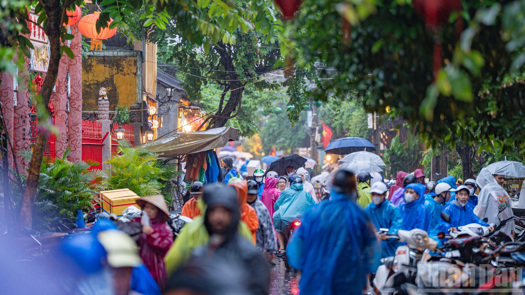 Malgré les fortes pluies, de nombreux touristes profitent encore de leur séjour à Hoi An. Photo : NDEL