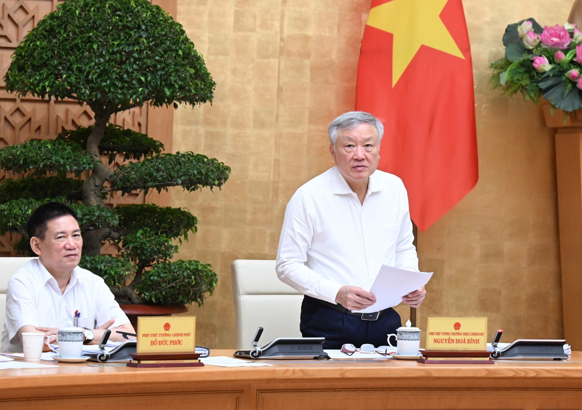 Le vice-Premier ministre permanent, Nguyen Hoa Binh (debout), prend la parole lors de la réunion. Photo : Thanh Hai/NDEL
