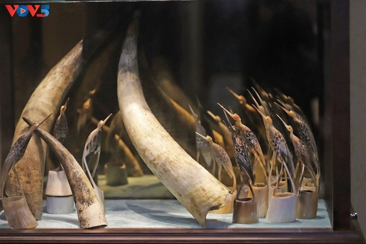 Le projet raconte l’histoire du lieu à travers objets et coutumes, présentant l’art de l’orfèvrerie et la fabrication d’objets en corne.