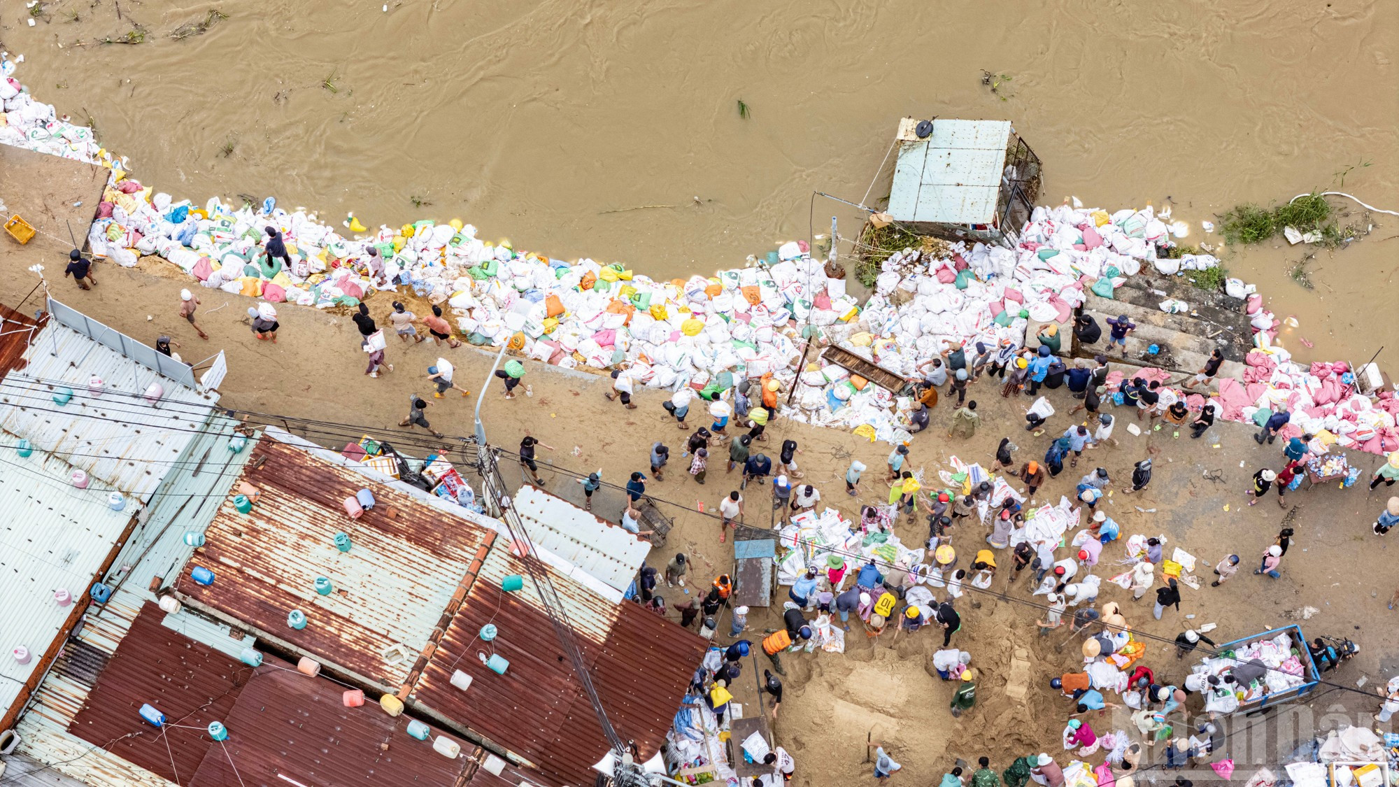 Face à la nature en colère, des milliers d’habitants et des forces armées se relaient jour et nuit, sous la pluie battante et les vagues rugissantes, pour sauver leur village. Photo : Phan Hai Tung Lam/NDEL