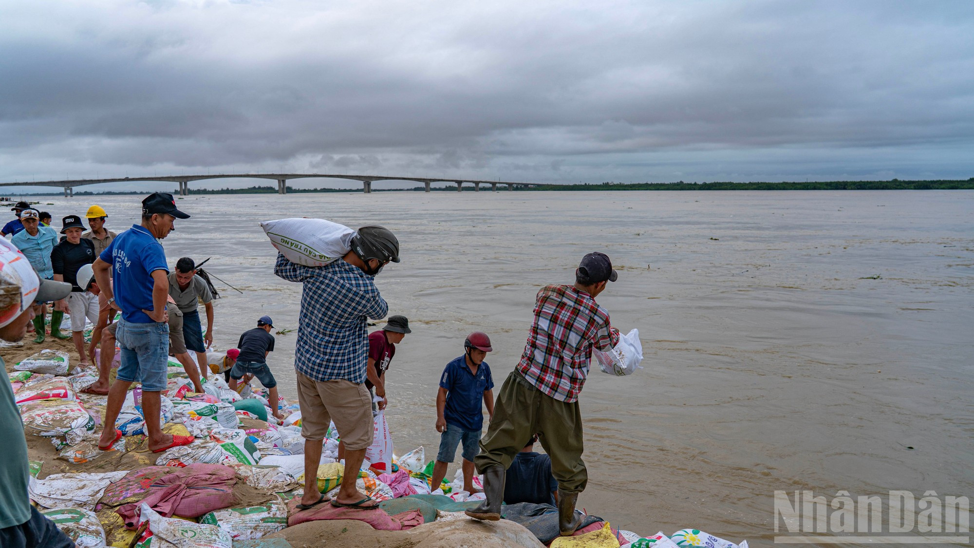 Des dizaines de milliers de sacs de sable sont acheminés jusqu&apos;aux berges du fleuve grâce à la force humaine. Photo : Phan Hai Tung Lam/NDEL