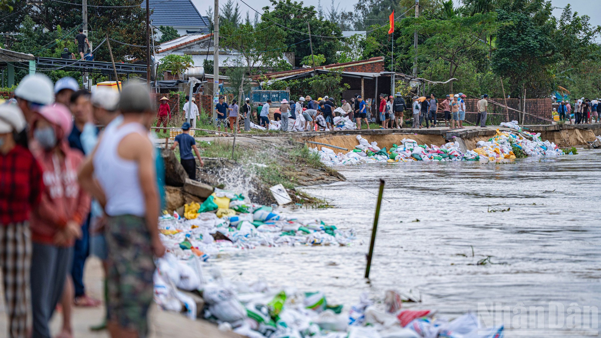 Des dizaines de milliers de sacs de sable sont acheminés jusqu&apos;aux berges du fleuve grâce à la force humaine. Photo : Phan Hai Tung Lam/NDEL