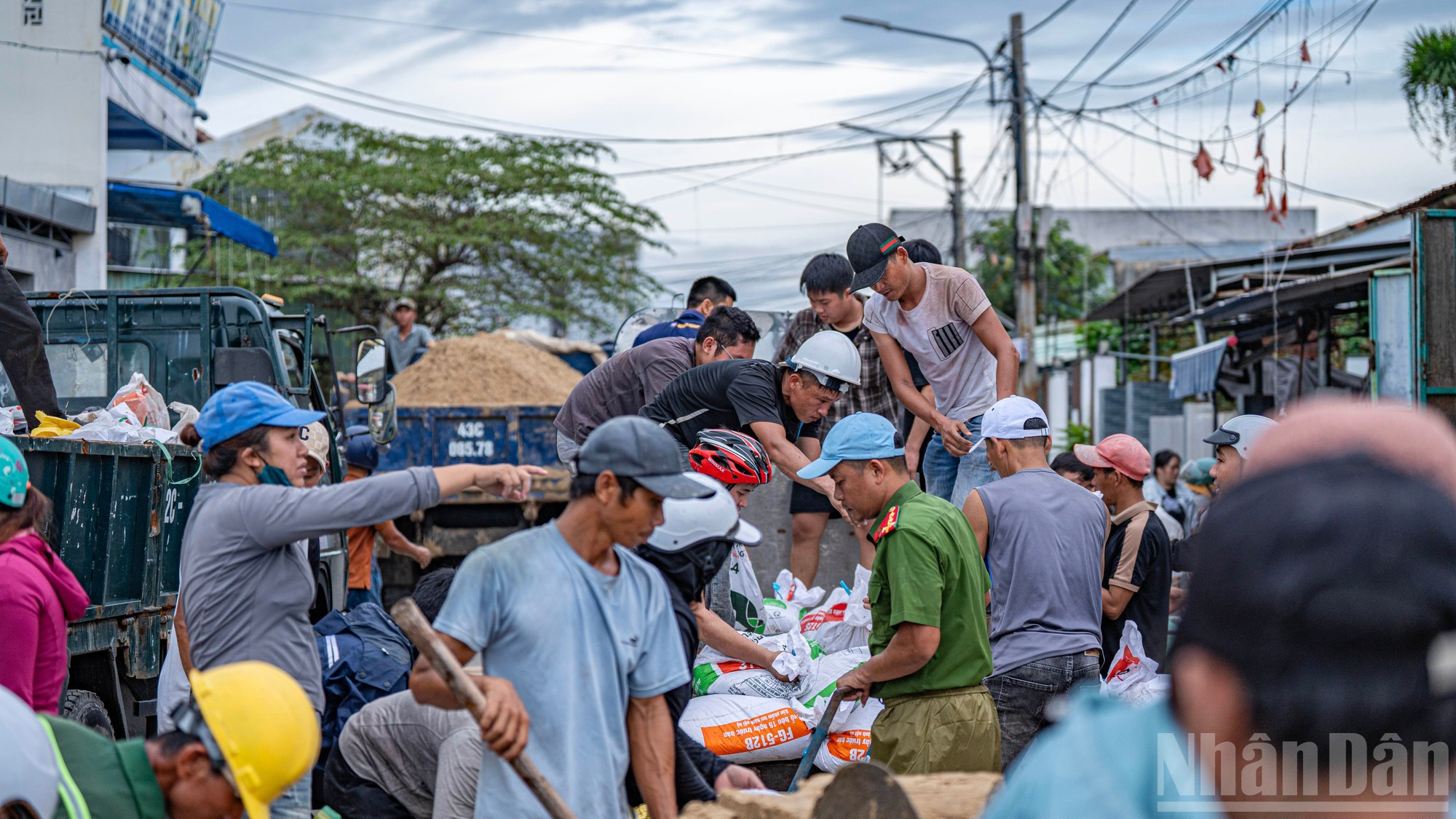 Dès l’aube, les camions déposent des tonnes de sable et de sacs vides, aussitôt acheminés vers le bord du fleuve à la seule force des bras. Photo : Phan Hai Tung Lam/NDEL