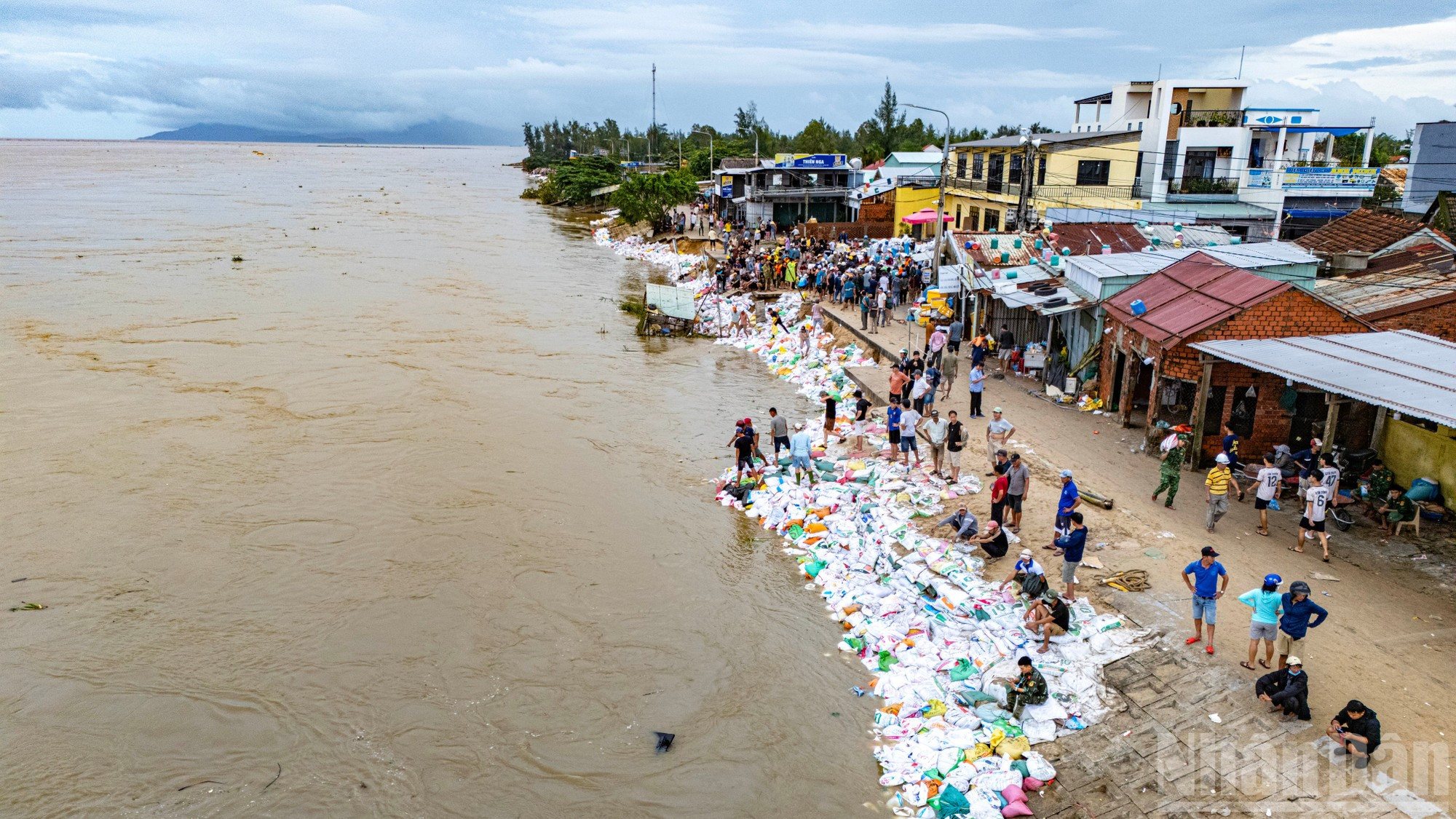 Les habitants, du plus jeune au plus âgé, s’organisent en chaînes humaines pour remplir et empiler des dizaines de milliers de sacs de sable, formant une barrière fragile mais symbolique contre la montée des eaux. Photo : Phan Hai Tung Lam/NDEL