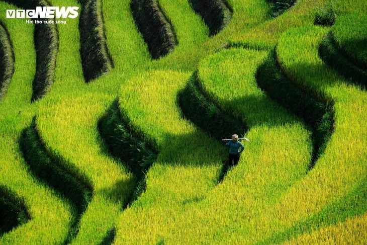 «Cette année, il y a plus de visiteurs, mais tous sont respectueux. Ils prennent leurs photos puis saluent chaleureusement. Ici, on récolte comme chaque année; on souhaite seulement garder le village propre et beau pour donner envie aux gens de revenir», nous confie un habitant de Hang Dang Dê.