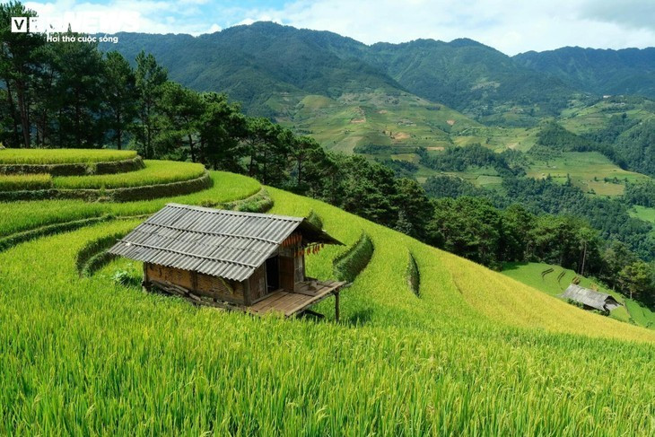En pleine saison dorée, Hang Dang Dê conserve une beauté simple, paisible et profondément attachante.