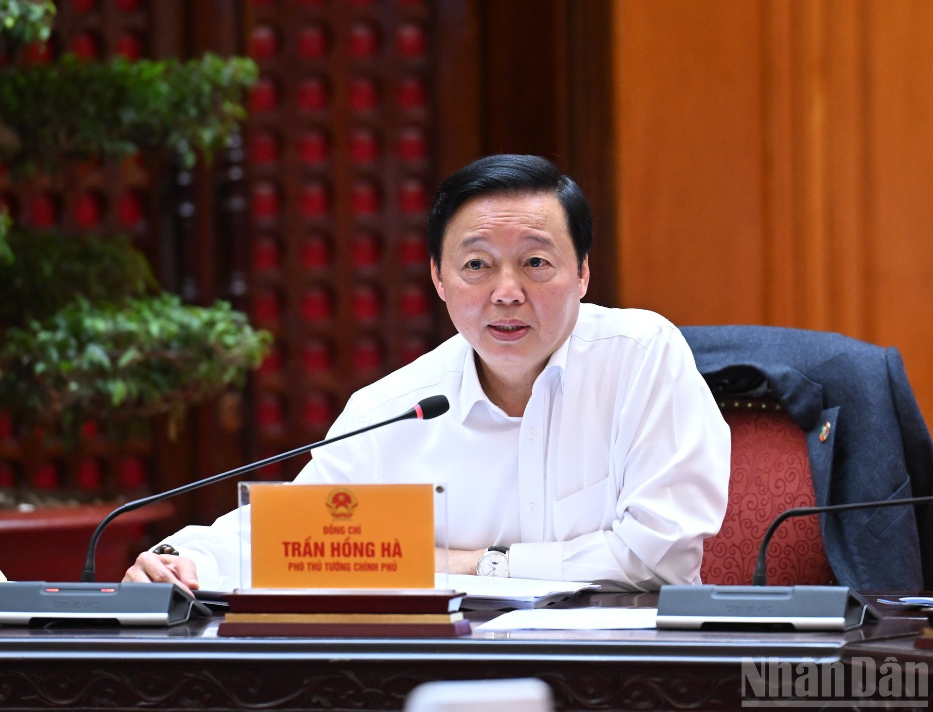 Le vice-Premier ministre Tran Hong Ha prend la parole lors de la réunion. Photo : Tran Hai/NDEL