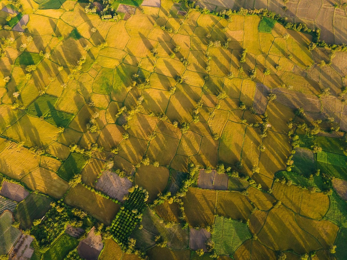 Du petit chemin menant au hameau jusqu’à l’horizon qui s’ouvre sur toute la vallée, Ta Pa inspire une sérénité difficile à décrire. Les rizières s’étendent à perte de vue, épousant les flancs des montagnes et formant une mosaïque éclatante lorsque les épis arrivent à maturité sous le soleil de fin d’année. Photo : Tran Duc Hoang/kienthuc.net.vn