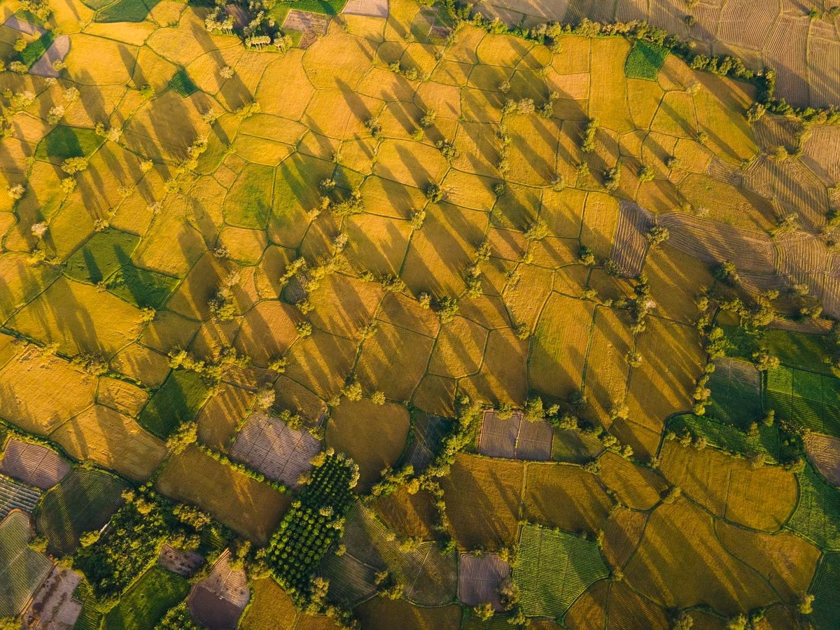 Du petit chemin menant au hameau jusqu’à l’horizon qui s’ouvre sur toute la vallée, Ta Pa inspire une sérénité difficile à décrire. Les rizières s’étendent à perte de vue, épousant les flancs des montagnes et formant une mosaïque éclatante lorsque les épis arrivent à maturité sous le soleil de fin d’année. Photo : Tran Duc Hoang/kienthuc.net.vn