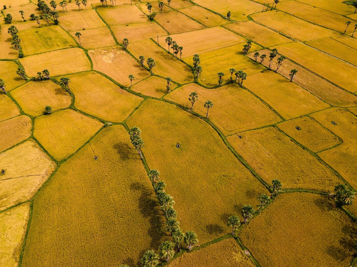 De nombreux visiteurs aiment s’arrêter dans les petites échoppes au bord de la route pour discuter et écouter les récits des habitants sur les récoltes, les fêtes traditionnelles et la vie quotidienne dans la région appelée &quot;Bay Nui&quot; (des sept montagnes). Photo : Tran Duc Hoang/kienthuc.net.vn