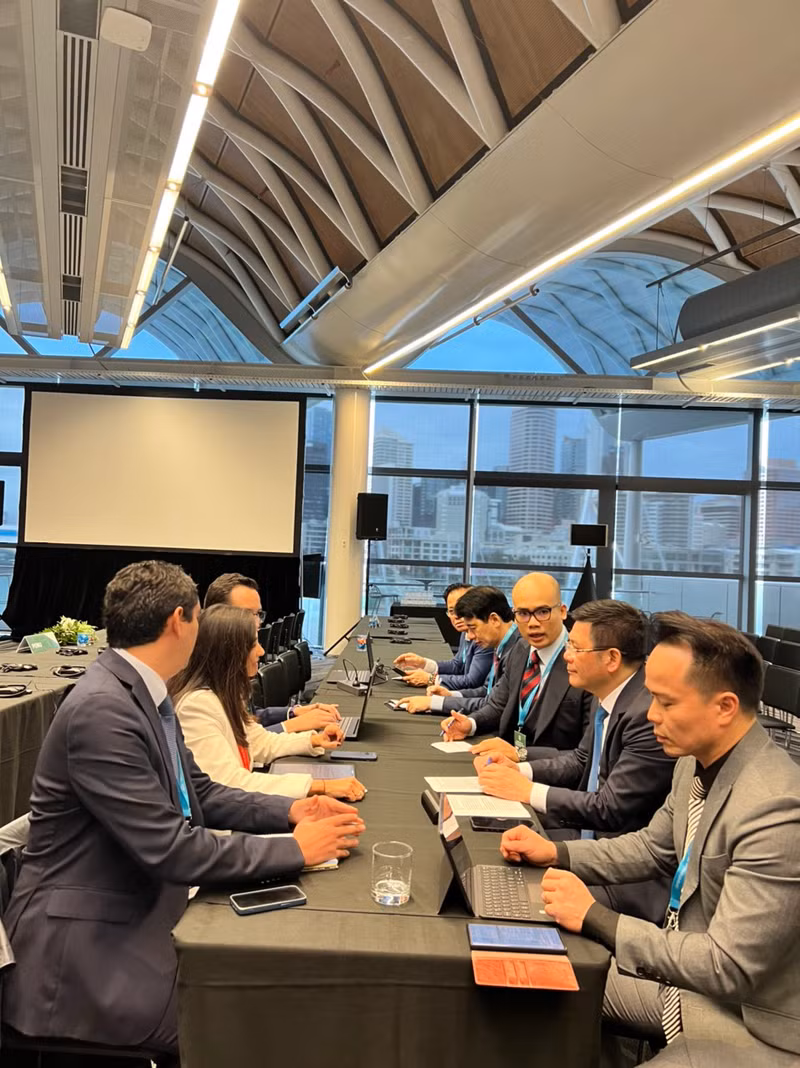 Le Chili souhaite renforcer sa coopération avec le Vietnam dans de nombreux domaines 