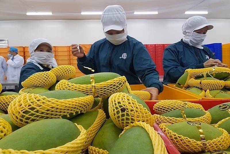 Photo : congthuong.vn