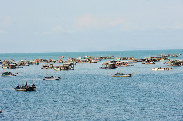 Kiên Giang renforce sa coopération avec la Norvège dans l’élevage marin 