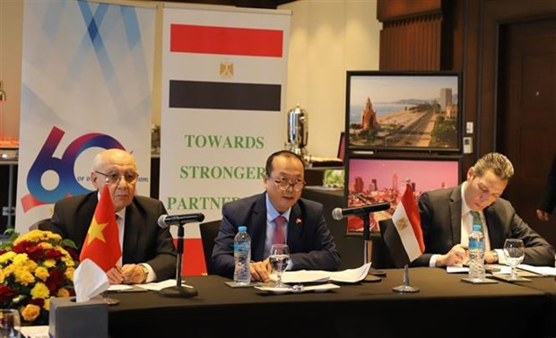 L’ambassadeur du Vietnam en Égypte Nguyên Huy Dung (centre) s'exprime lors de l'événement. Photo: VNA