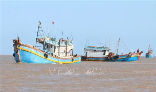 Bateaux de pêcheurs de la commune de Binh Thang, district de Binh Dai, province de Bên Tre. Photo : VNA.