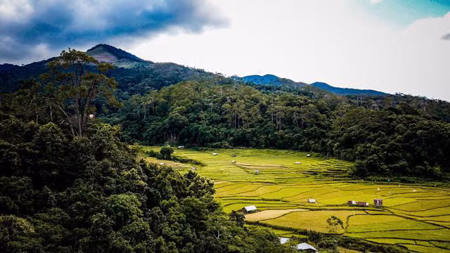 Mang Den : Deuxième Dà Lat du Tây Nguyên ảnh 3