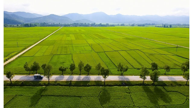 Diên Biên, le lieu conserve des vestiges historiques de la bataille héroïque ảnh 5 Diên Biên, le lieu conserve des vestiges historiques de la bataille héroïque ảnh 5