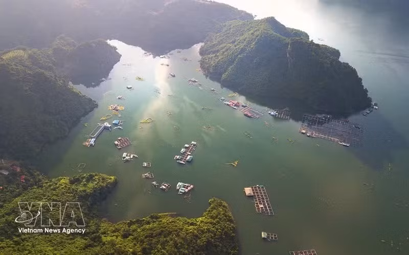 Avec ses eaux cristallines et ses paysages majestueux, le lac Hoa Binh est devenu une destination incontournable pour les visiteurs de la province de Phu Tho. Photo : VNA.