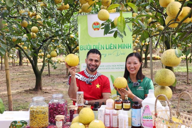 Produits HalalViet (coopérative Hanoi Xanh) promus avec le soutien du Département de la gestion et du développement du marché intérieur dans « Sức sống hàng Việt», n° 3.