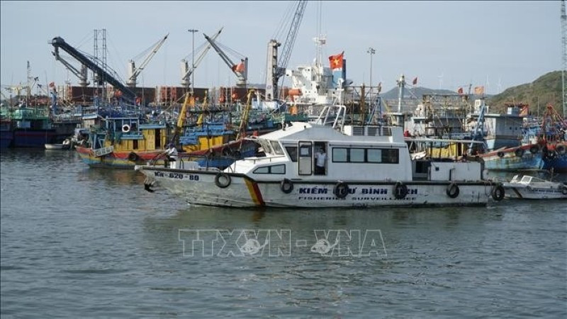 Les forces compétentes mènent les patrouilles dans le port de Quy Nhon. Photo : VNA.