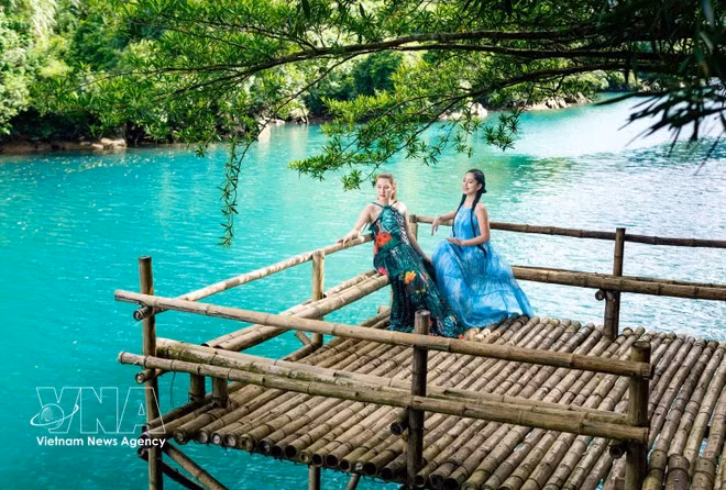 La province de Quang Tri développe des modèle touristiques sous la canopée forestière, en l'associant à la conservation des forêts et au développement durable. Photo : VNA.