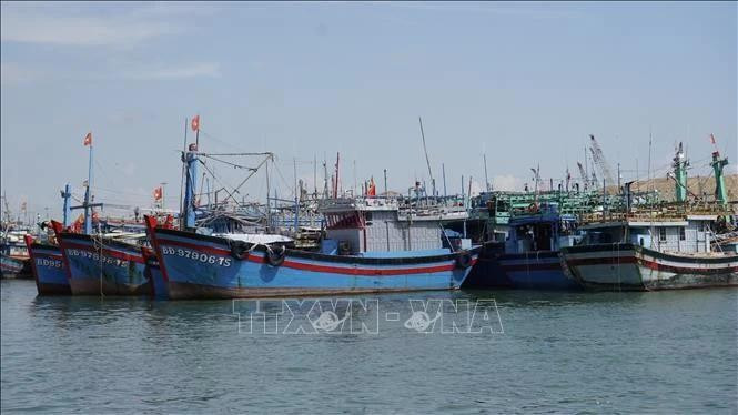 Des bateaux de pêche sont ancrés au port de pêche du quartier de Quy Nhon, province de Gia Lai. Photo : VNA.