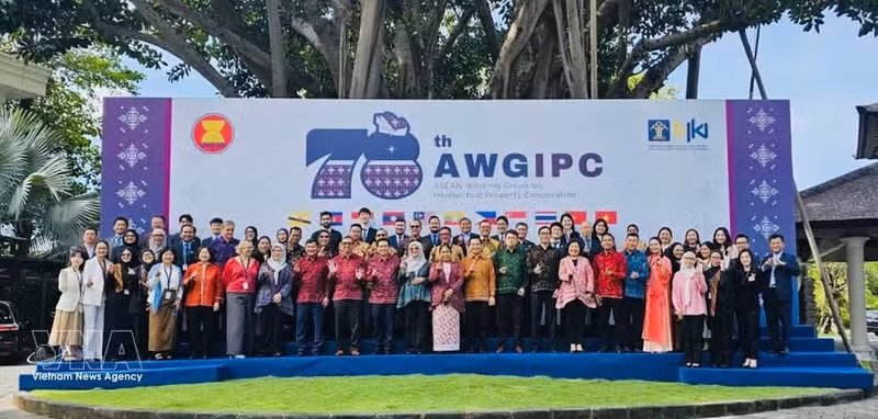 Les délégués à la 78e réunion du Groupe de travail de l’ASEAN sur la coopération en matière de propriété intellectuelle à Bali (Indonésie). Photo : VNA.