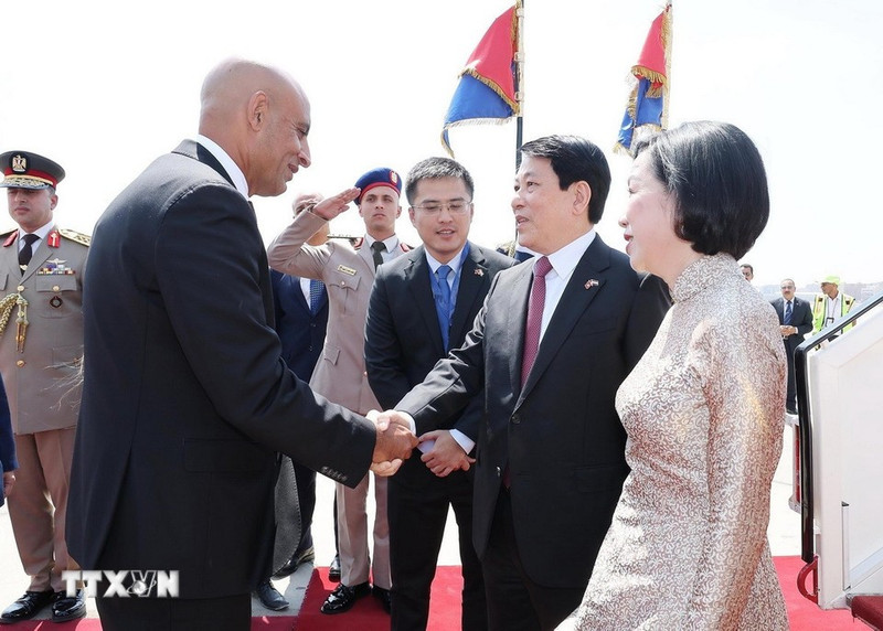 Le président de la République, Luong Cuong, et son épouse, arrivent au Caire. Photo : VNA.