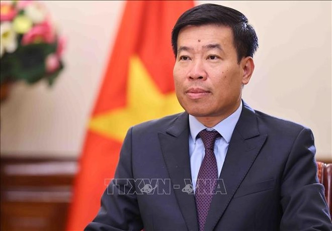 Le vice-ministre des Affaires étrangères Nguyen Manh Cuong. Photo : VNA.