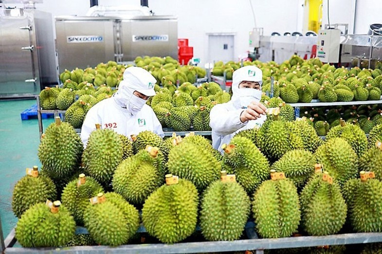 Les exportations de fruits et légumes ciblent 8 milliards de dolars en 2025. Photo : Vneconomy.