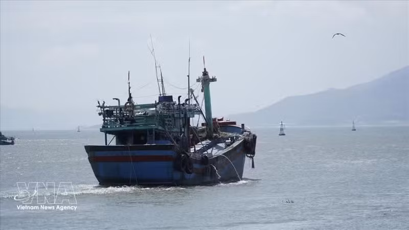 Quang Ninh entend se concentrer sur le renforcement de la gestion de sa flotte, l'intensification des inspections et la promotion d'une restructuration visant à réduire l'exploitation et à développer une aquaculture durable. Photo : VNA.