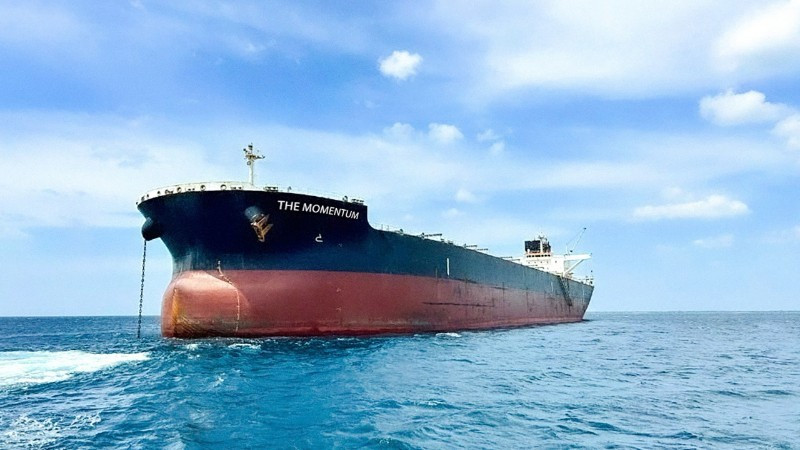 Le navire Momentum de fret de 110 000 tonnes.