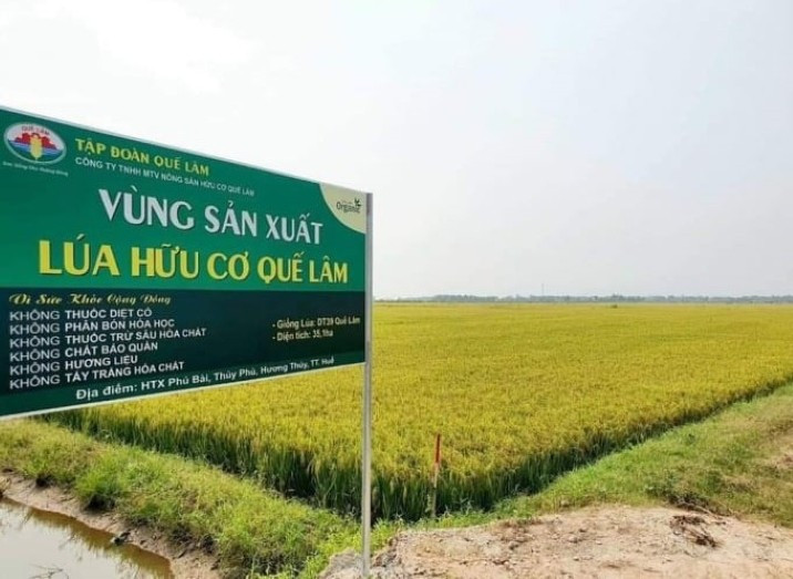 Hue privilégie le développement agricole fondé sur les hautes technologies, l’agriculture biologique et les chaînes de valeur intégrées, en lien avec les marchés de consommation, tout en s’adaptant au changement climatique et en protégeant l’environnement. Photo : Vneconomy.