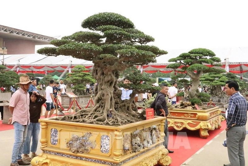Les espaces d’exposition consacrés aux fleurs, plantes et organismes d’ornement, emblématiques du printemps et de la culture du Têt, seront renforcés à la première Foire du Printemps 2026. Photo : VNA.