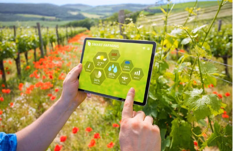 La transformation numérique constitue un moteur essentiel du processus de construction de la nouvelle ruralité.