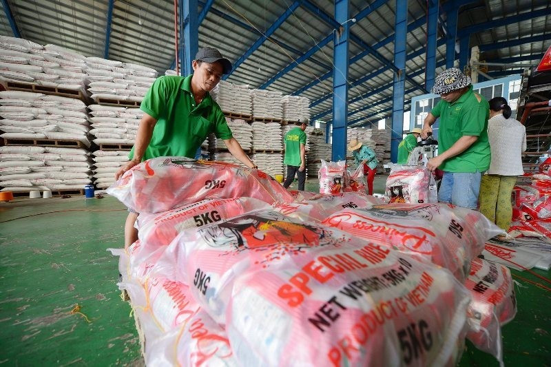 Conditionnement du riz destiné à l’exportation à la SARL Chơn Chính, province de Đồng Tháp. Photo : Duc Anh.