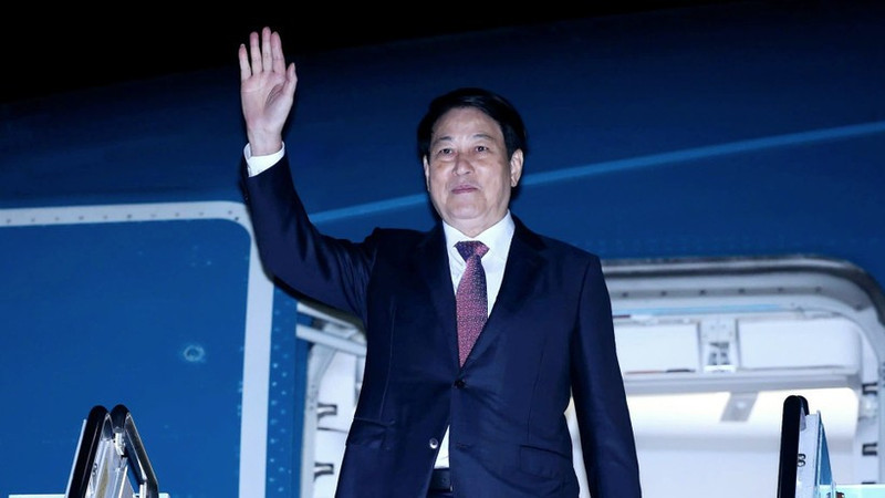 Dans la soirée du 1er novembre, le président Luong Cuong et la délégation vietnamienne de haut niveau ont quitté la ville de Busan. Photo : VNA.