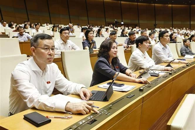 Les députés votent l'adoption de la résolution. Photo : VNA.