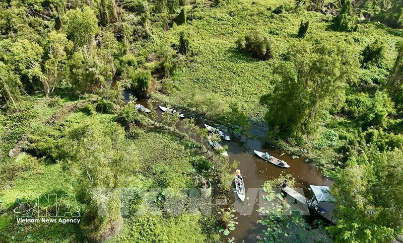 Le Vietnam renforcera également la coopération régionale et internationale à travers des échanges réguliers avec l’Union européenne et ses États membres sur l’évaluation des risques, les procédures et les indicateurs de suivi, l’établissement d’un dialogue avec le Centre commun de recherche (JRC) de l’UE afin d’harmoniser les données cartographiques forestières. Photo d'illustration : VNA.