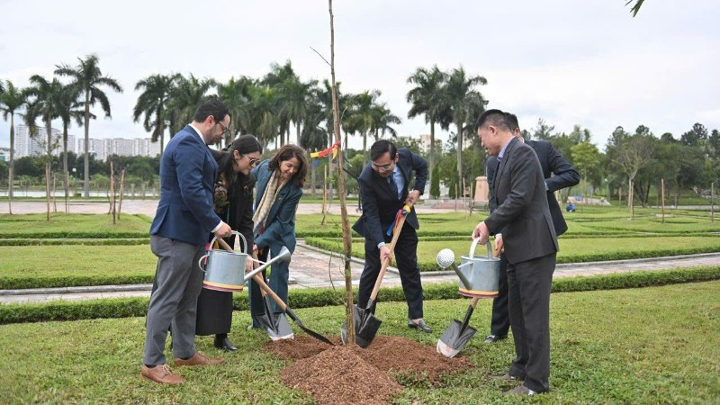Les délégués plantent des arbres saman au parc Hoa Binh. Photo : Ambassade de Colombie au Vietnam.